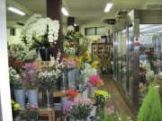 「黒木生花店」　（宮崎県日向市）の花屋店舗写真1